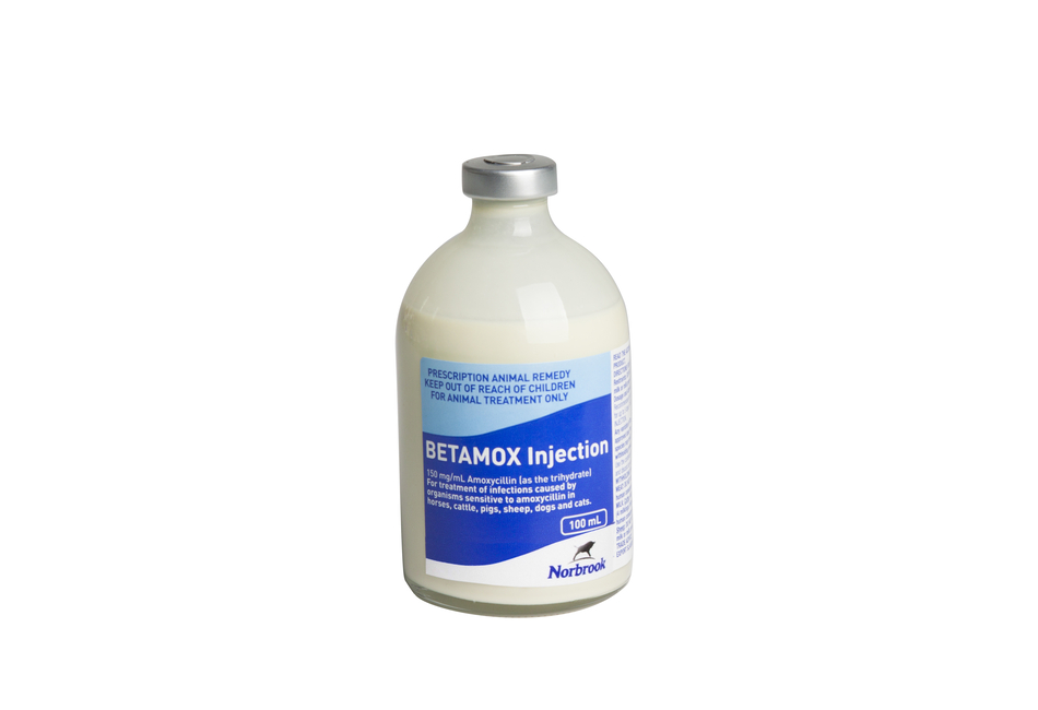 Betamox Injection