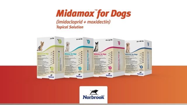 Midamox Dog Application Video Thumbnail