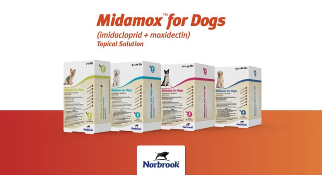 Midamox Dog Application Video Thumbnail