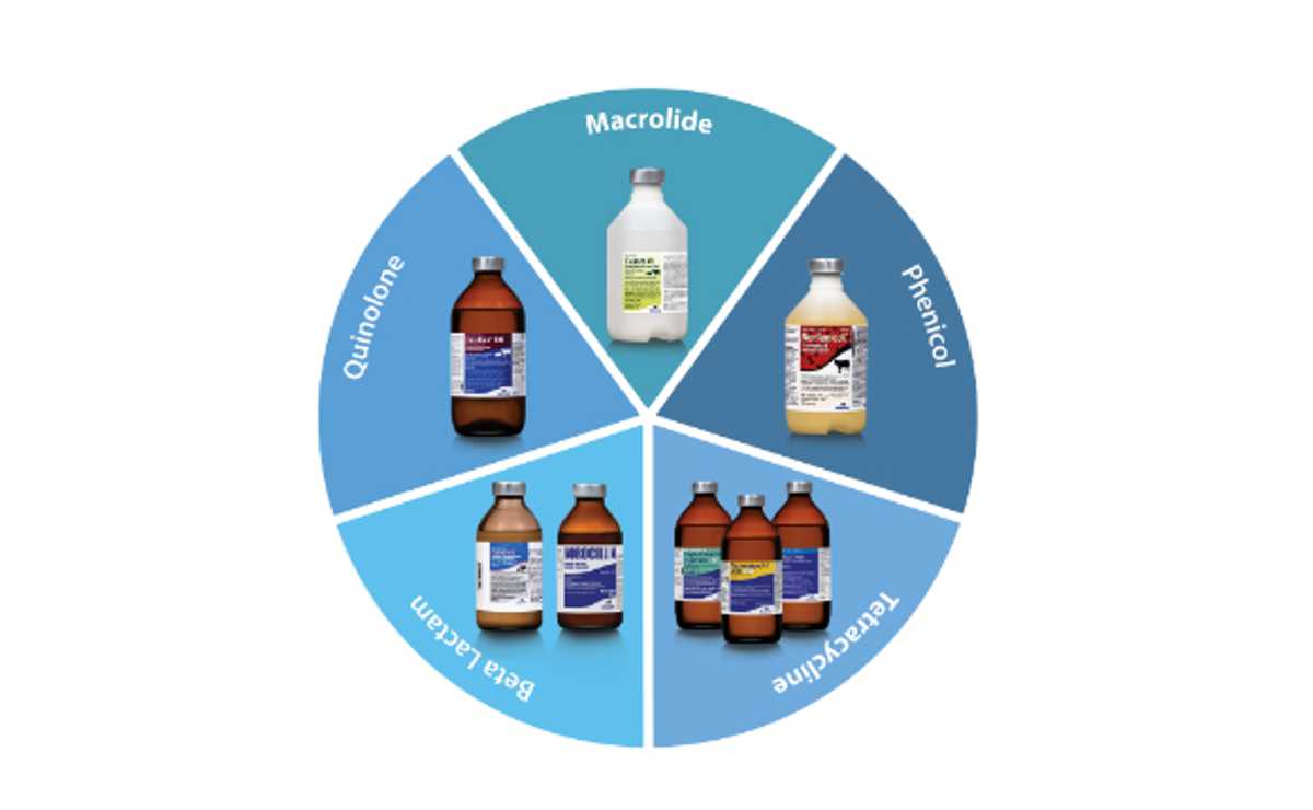 Oxytetracycline Injection 200 (oxytetracycline injection)