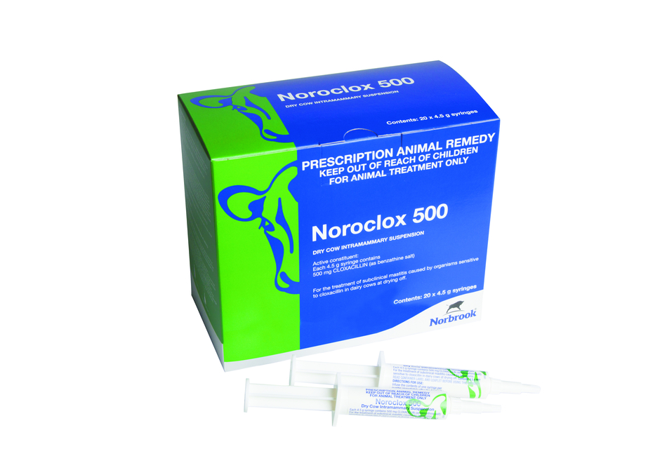 Noroclox 500 Dry Cow Intramammary Suspension