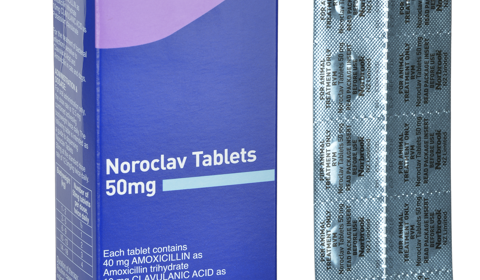Noroclav Tablets 50mg and 250mg | Norbrook