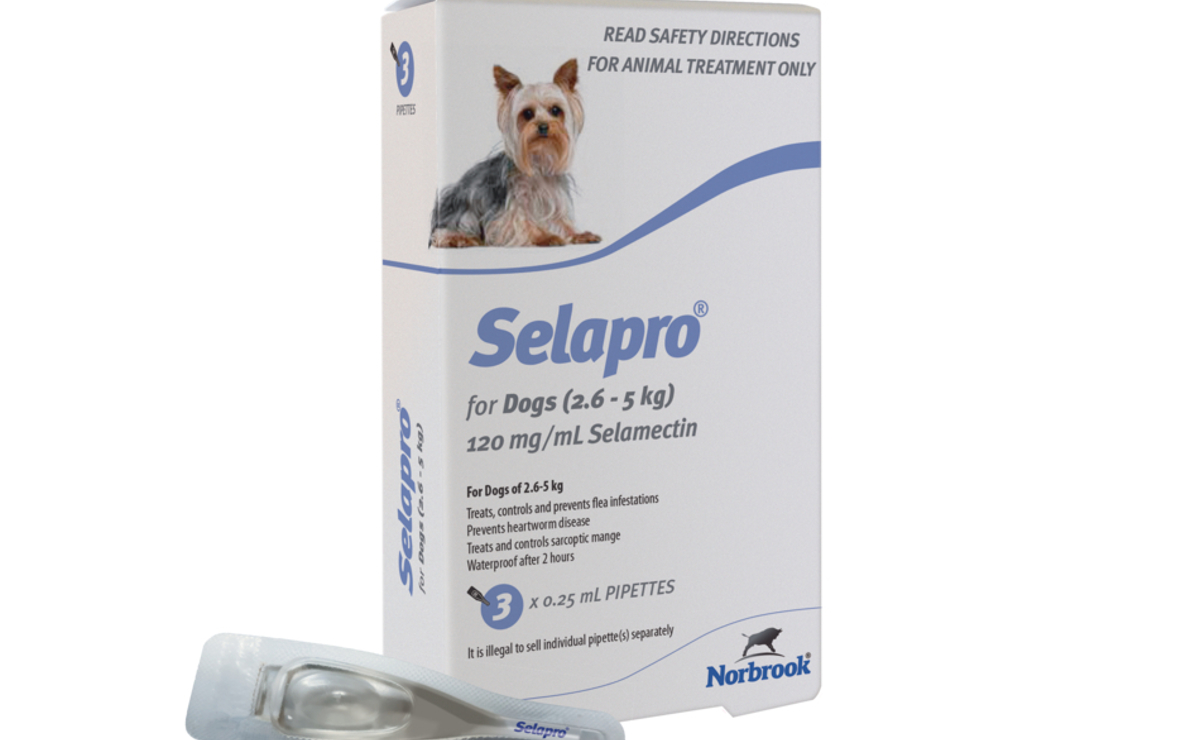 Selapro for Dogs