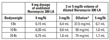 Noromycin 300 Dosing Schedule