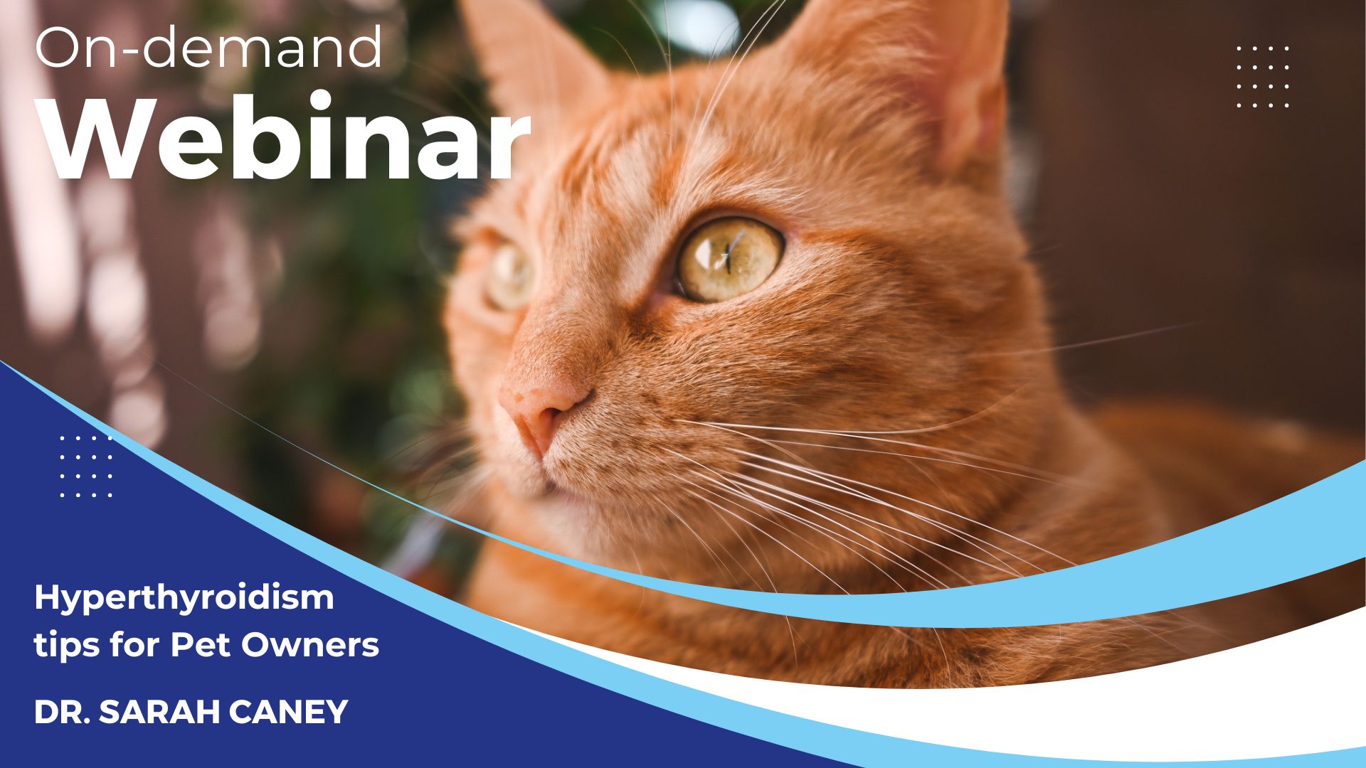 Hyperthyroidism Webinar Thumbnail