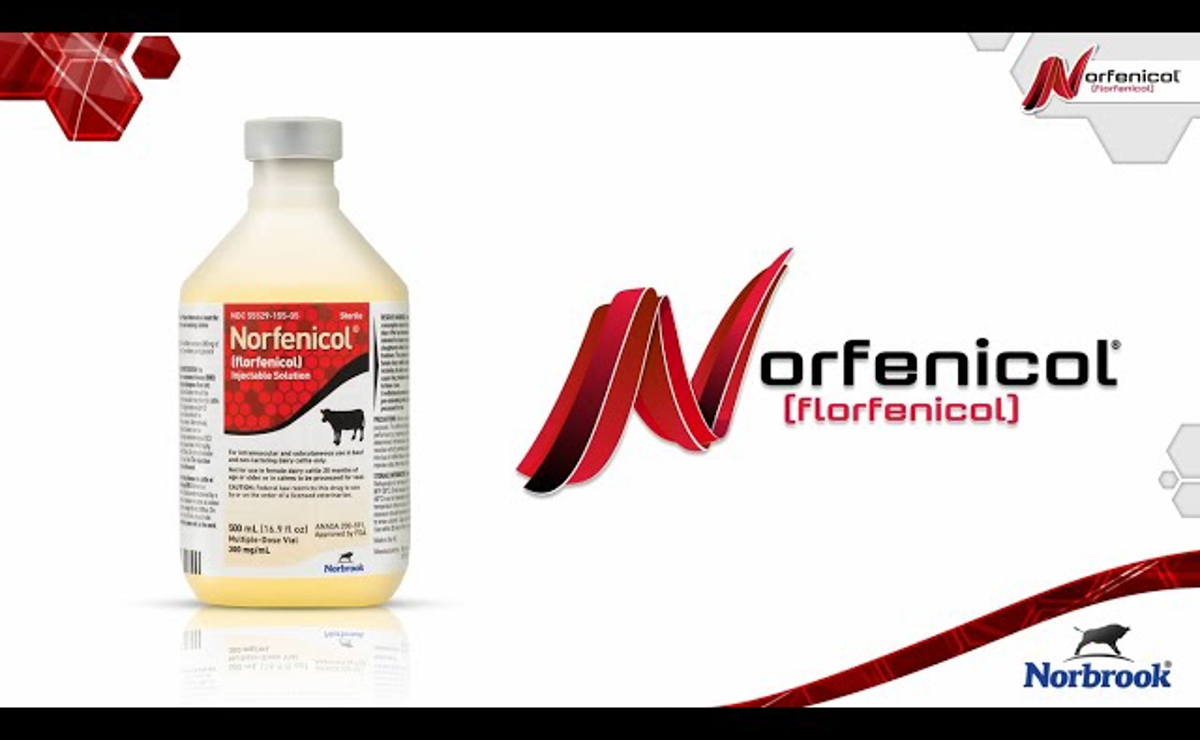 Norfenicol® (florfenicol) Injectable Solution