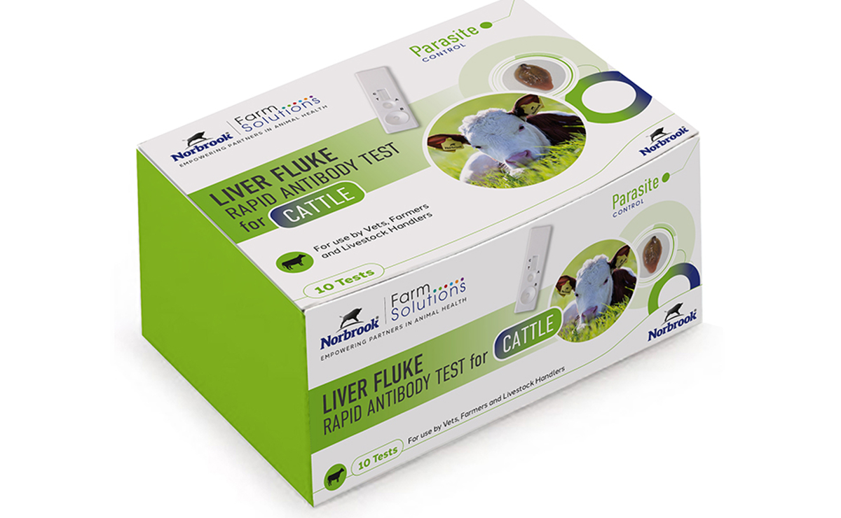 Liver Fluke Rapid Antibody Test