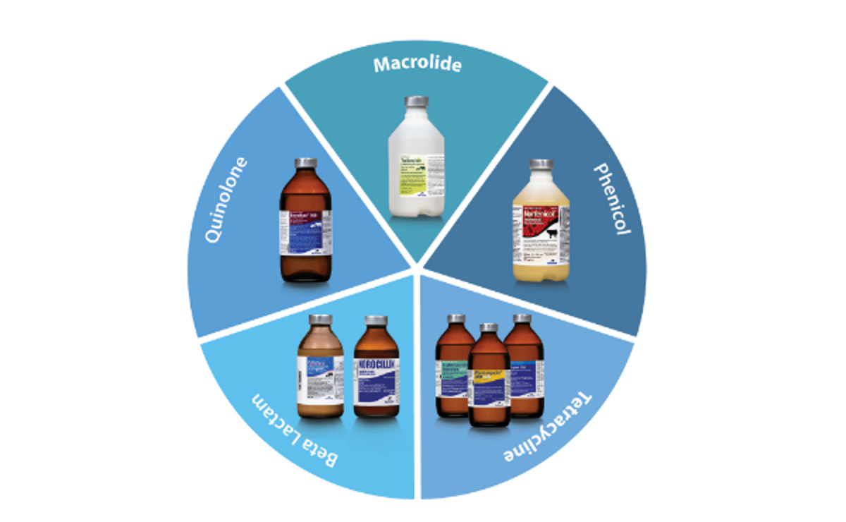 Enroflox® 100 (enrofloxacin) Injectable Solution