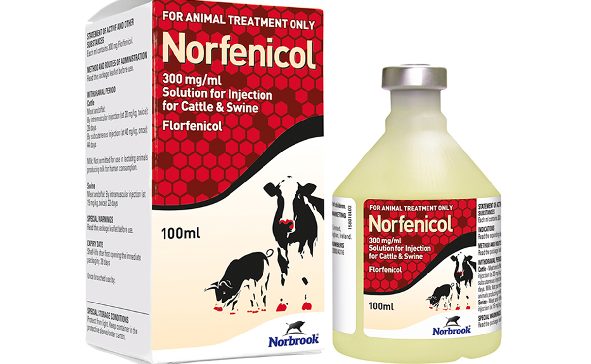 Norfenicol Injection