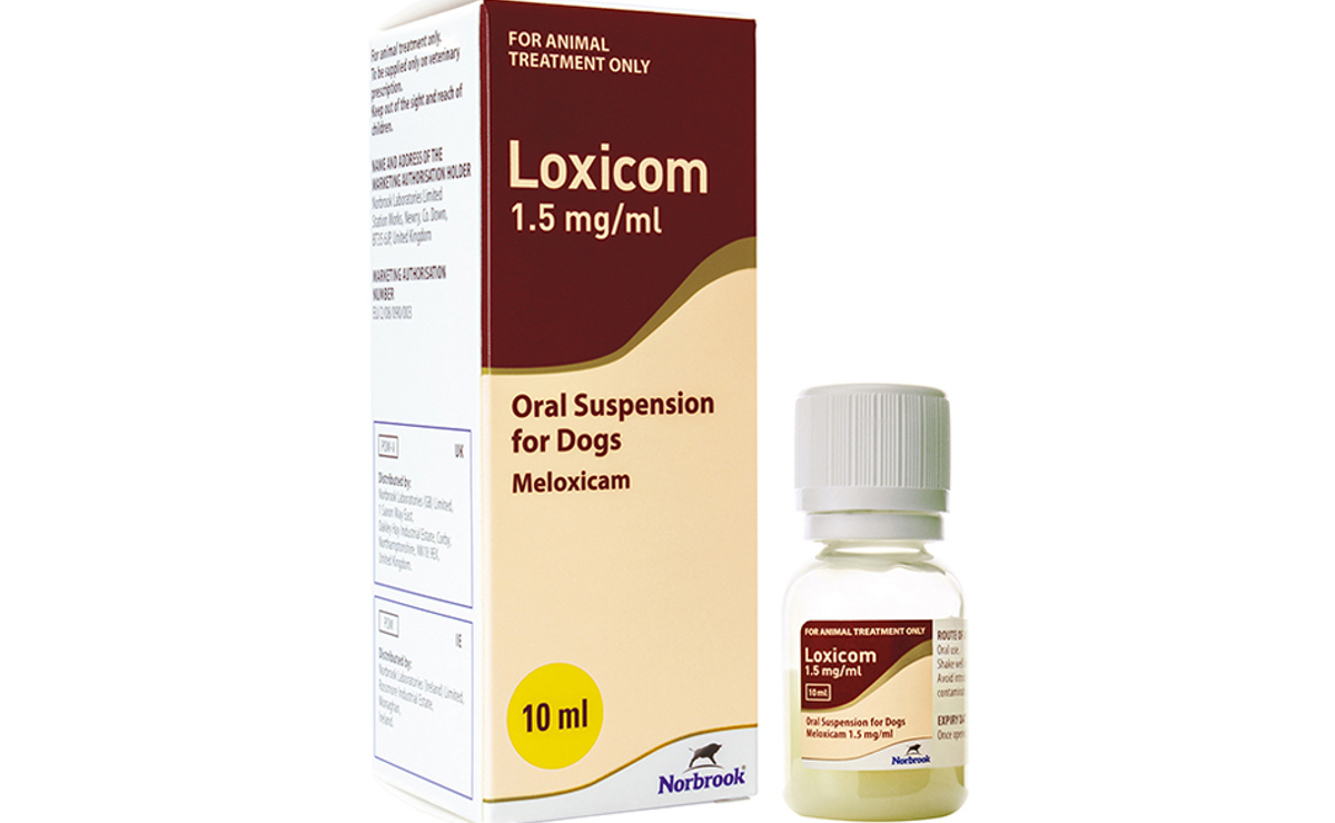 Loxicom 1.5mg/ml Oral Suspension Dogs