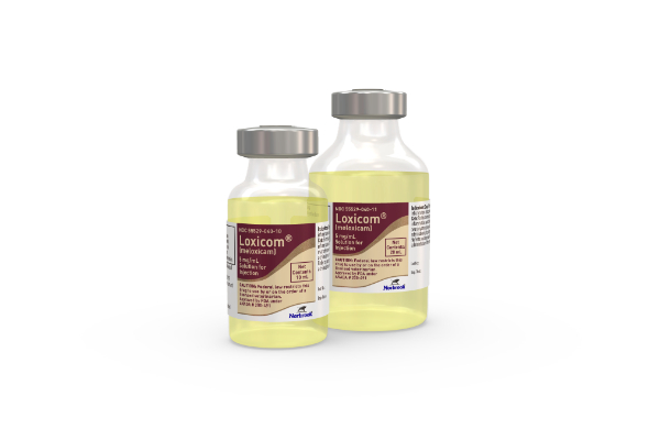 Loxicom® (meloxicam) 5 mg/mL Solution for Injection