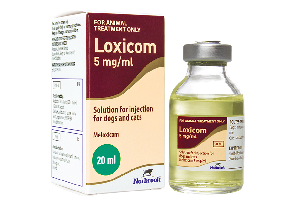 Loxicom Injection For Dogs And Cats