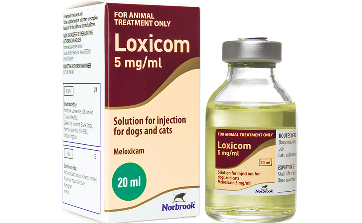 Loxicom Injection For Dogs And Cats