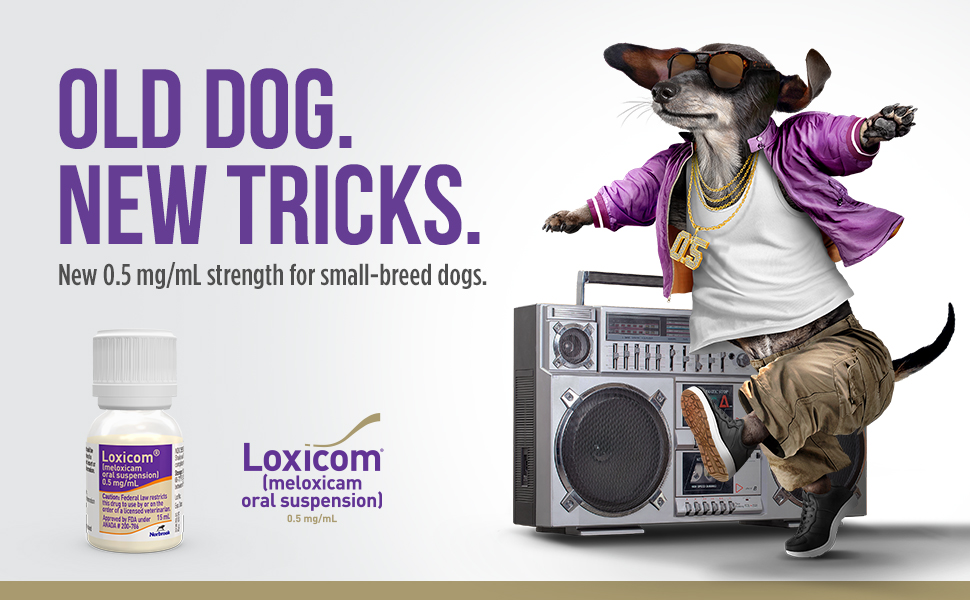 Loxicom® (meloxicam oral suspension)