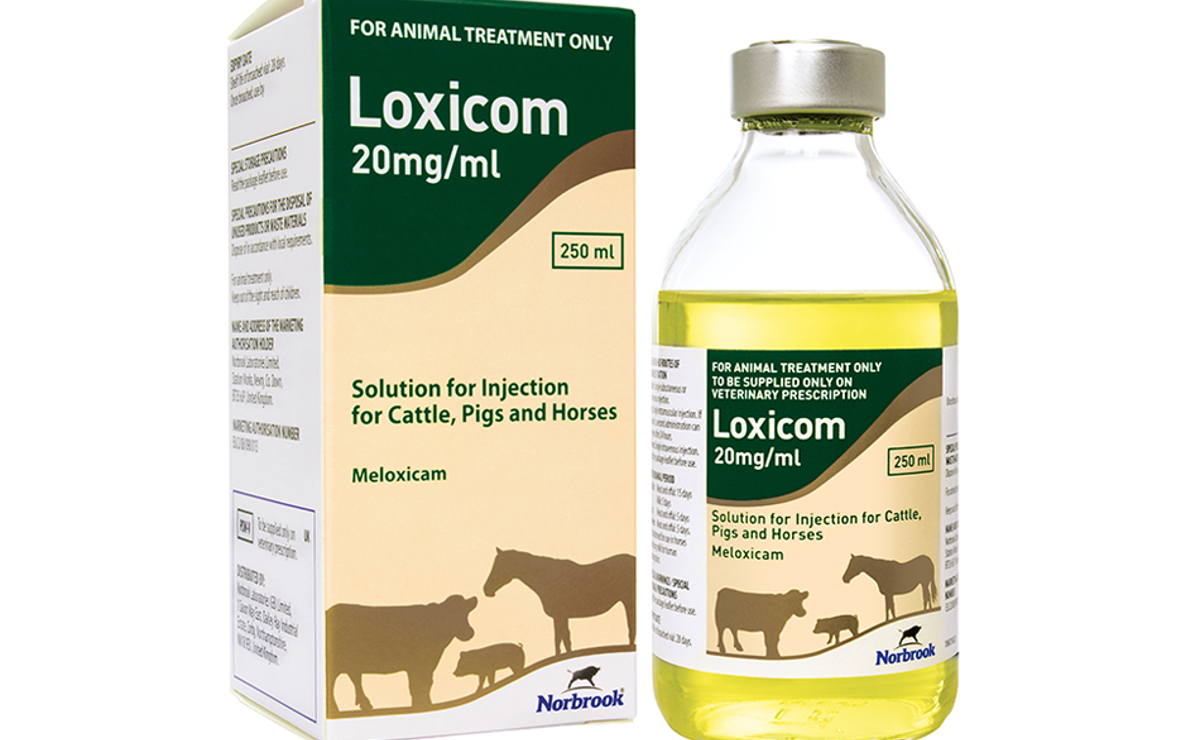 Loxicom LA Injection