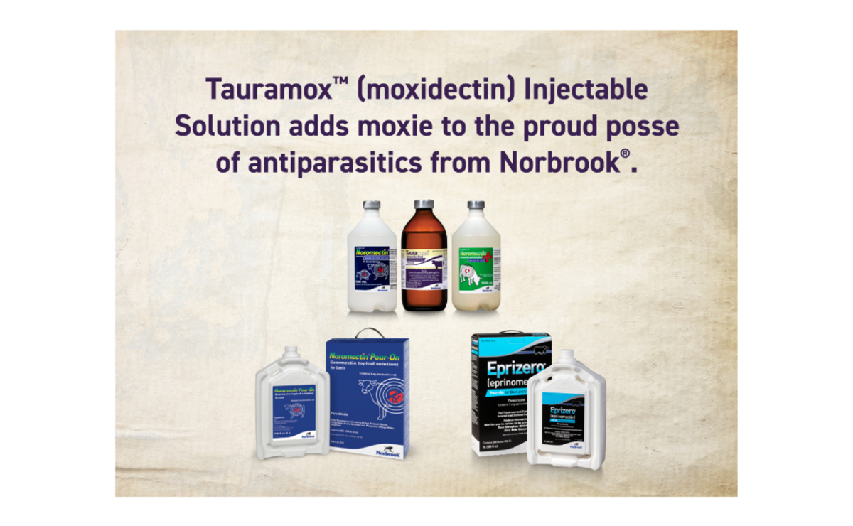 Eprizero® (eprinomectin) Pour-On for Beef and Dairy Cattle