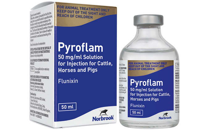 Pyflame Pyroflam Injection | Norbrook Laboratories