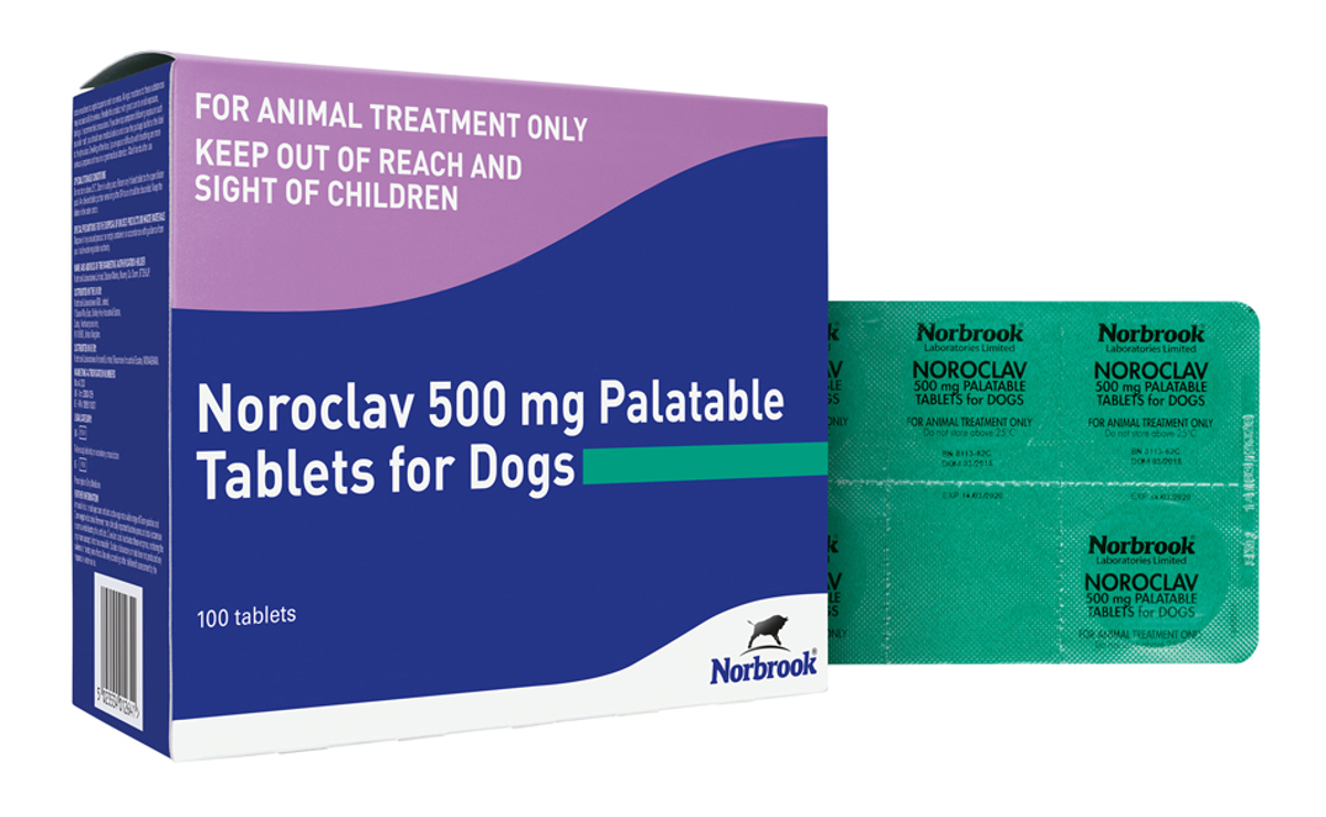Noroclav Tablets