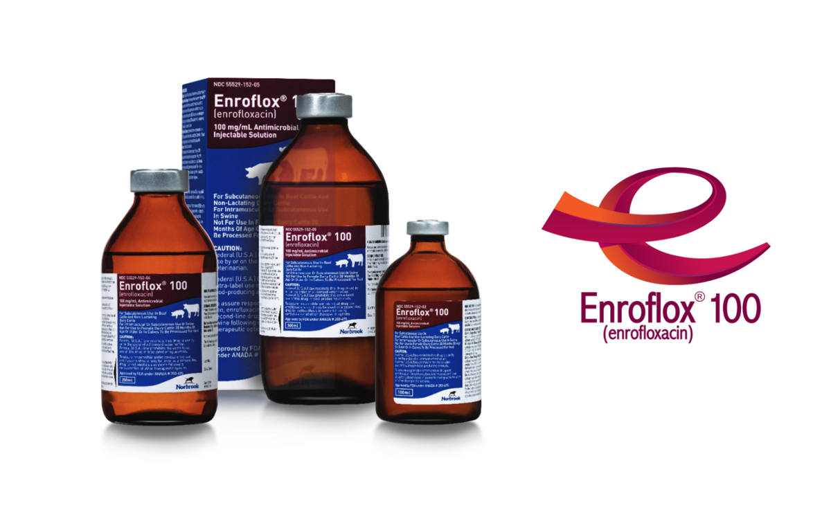Enroflox® 100 (enrofloxacin) Injectable Solution