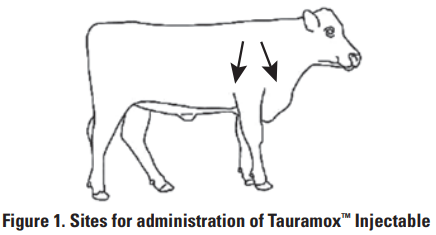 Tauramox Site for Administration