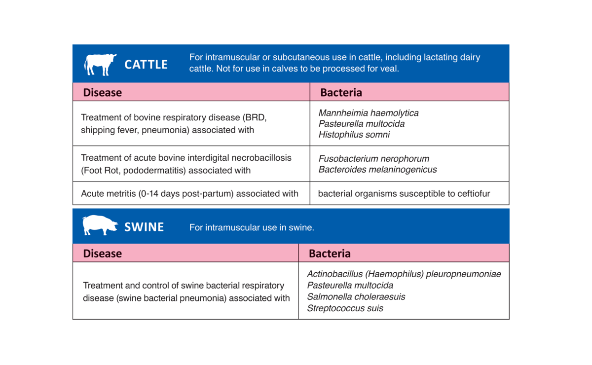 Cefenil® RTU (ceftiofur hydrochloride sterile suspension)