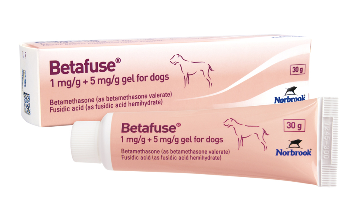 Betafuse for dogs
