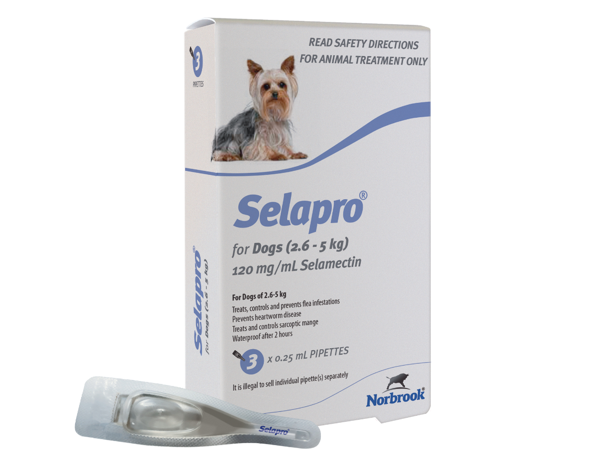 Selapro for Dogs