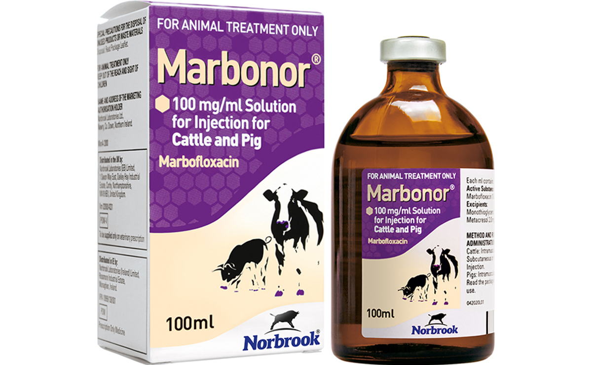 Marbonor Injection