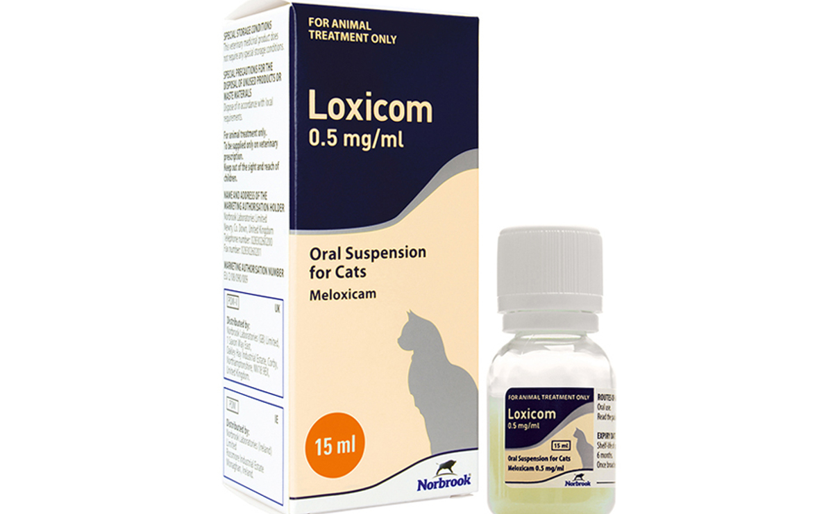 Loxicom Oral Suspension Cats