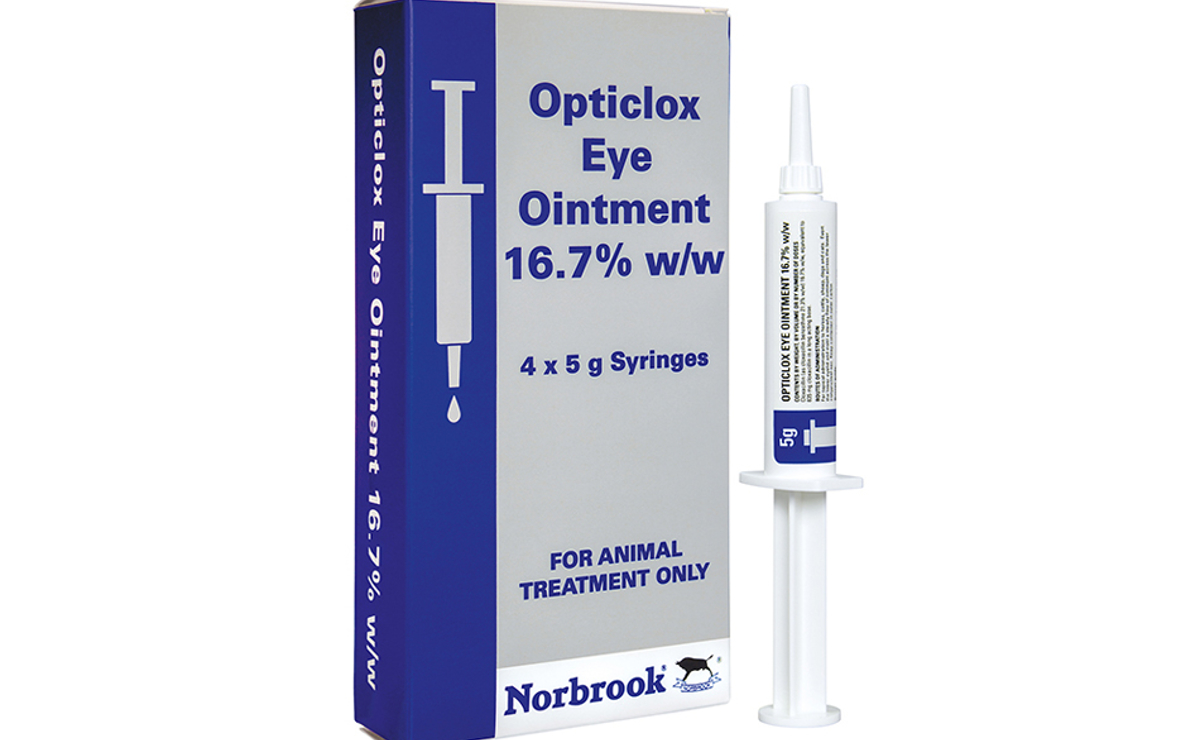 Opticlox Eye Ointment | Norbrook Laboratories Opticlox Eye Ointment | Norbrook Laboratories