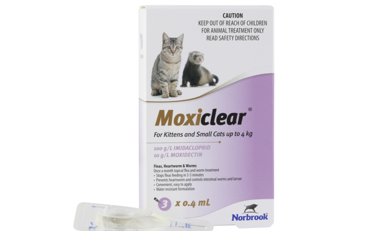 Moxiclear for Kittens and Small Cats