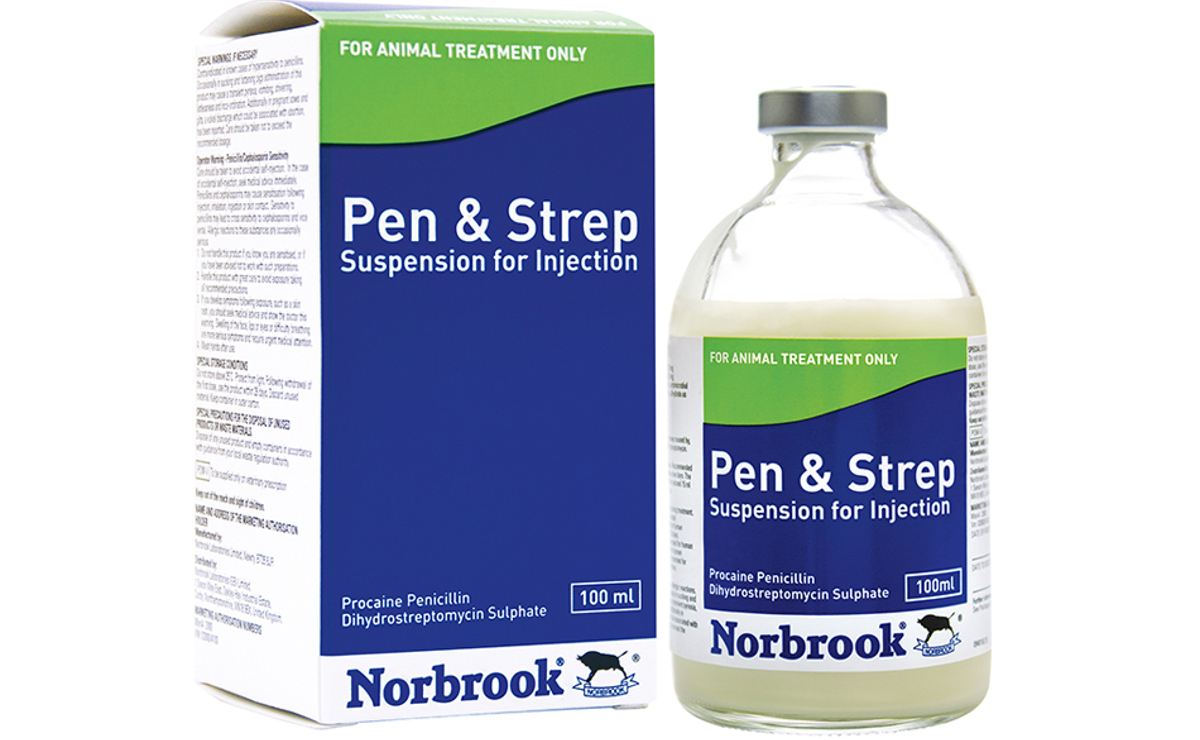 Pen and Strep Injection