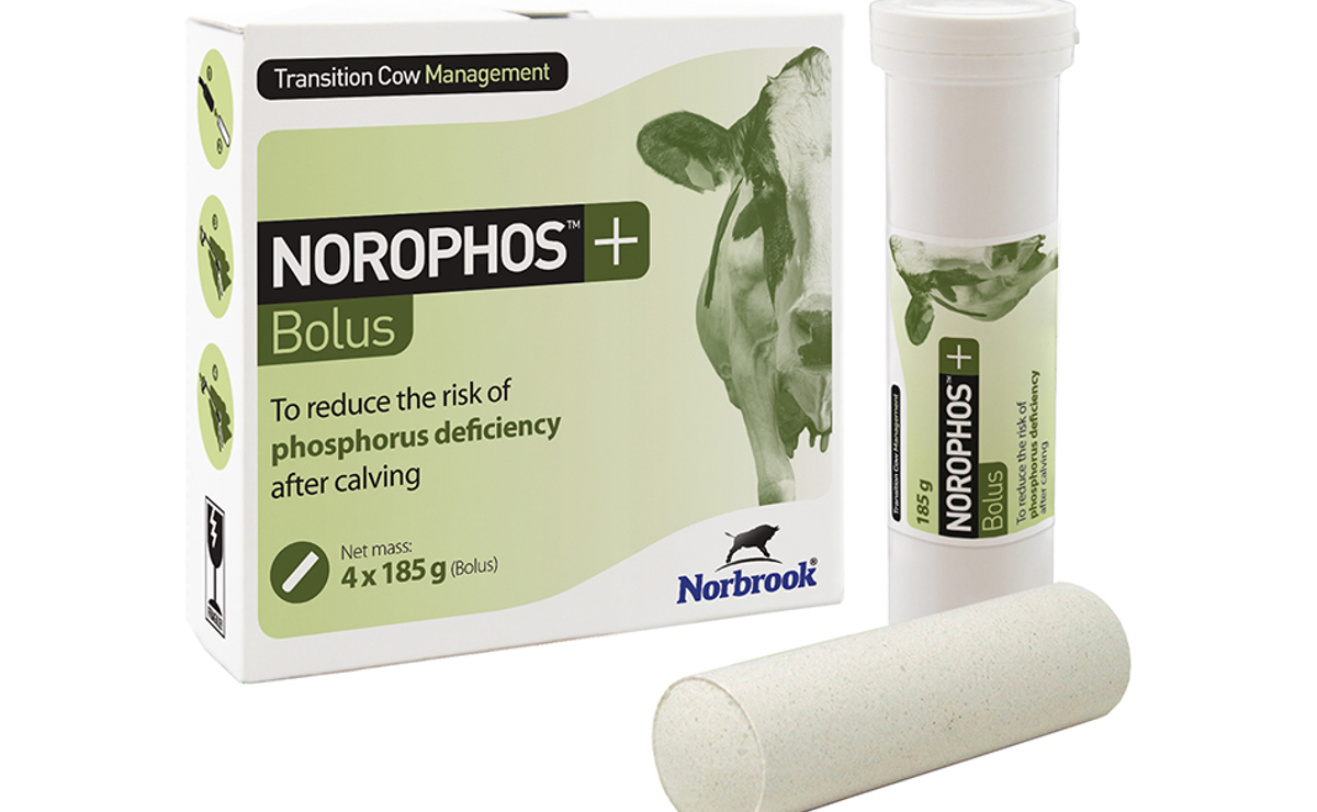 Norophos Bolus