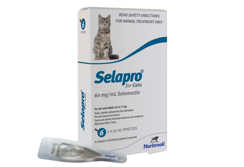 Selapro for Cats