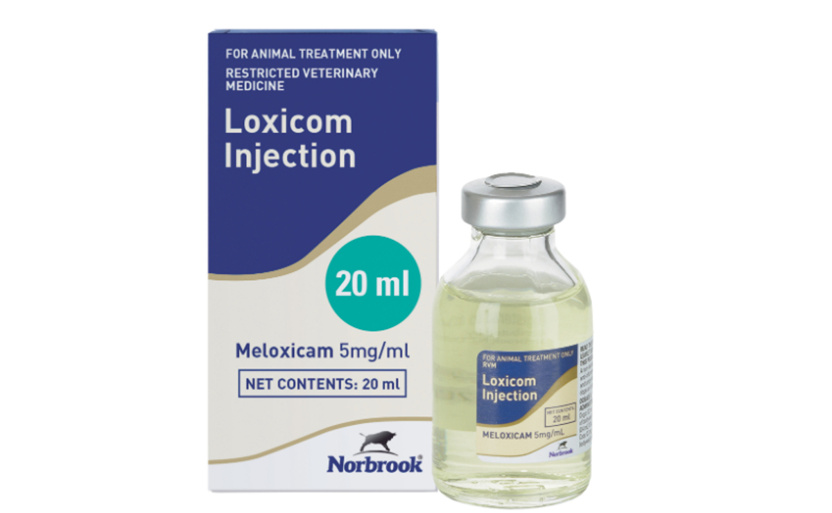 Loxicom Injection