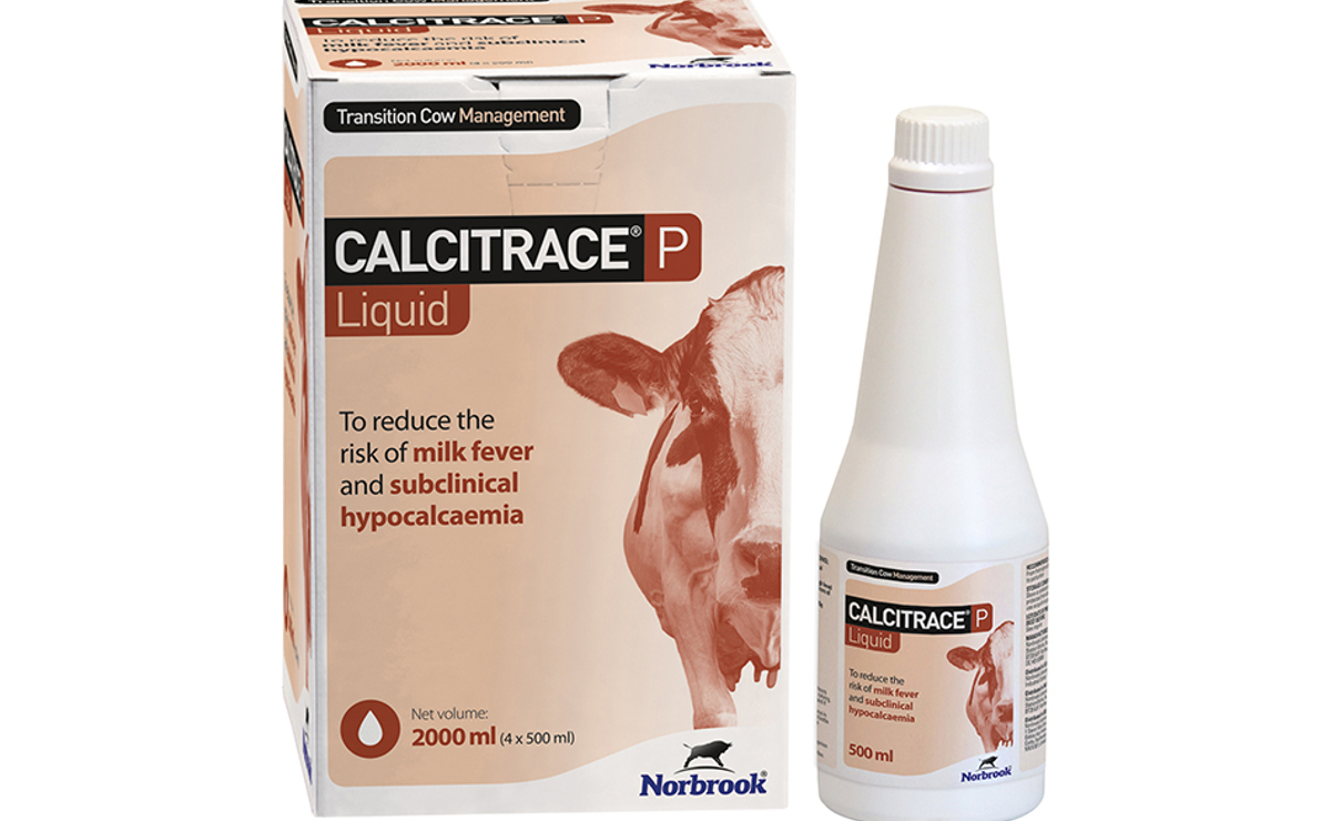Calcitrace P Liquid