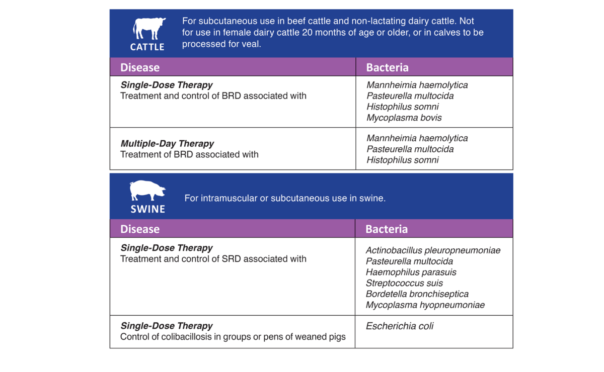 Enroflox® 100 (enrofloxacin) Injectable Solution