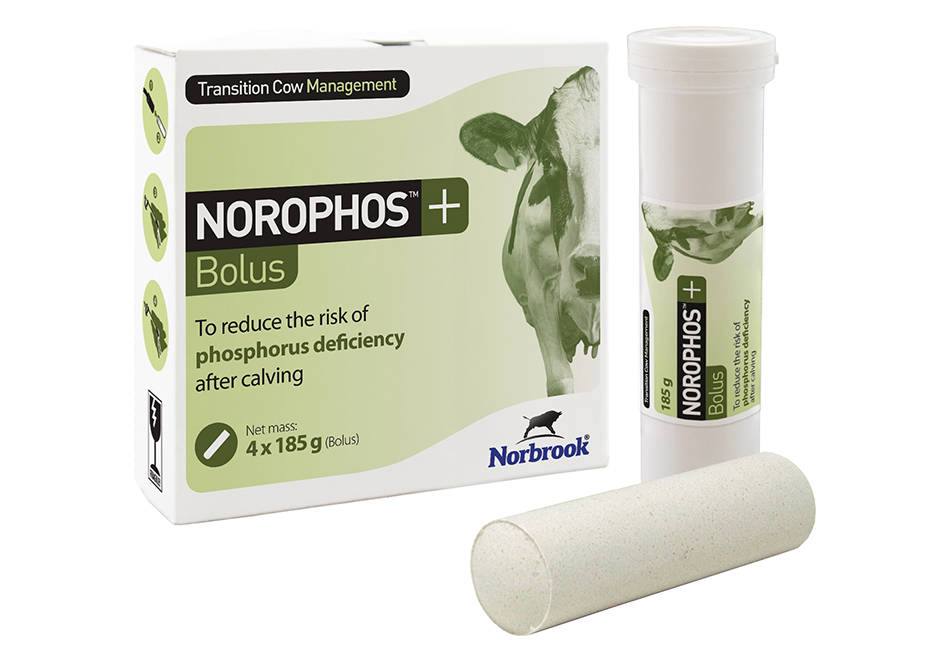 Norophos Bolus