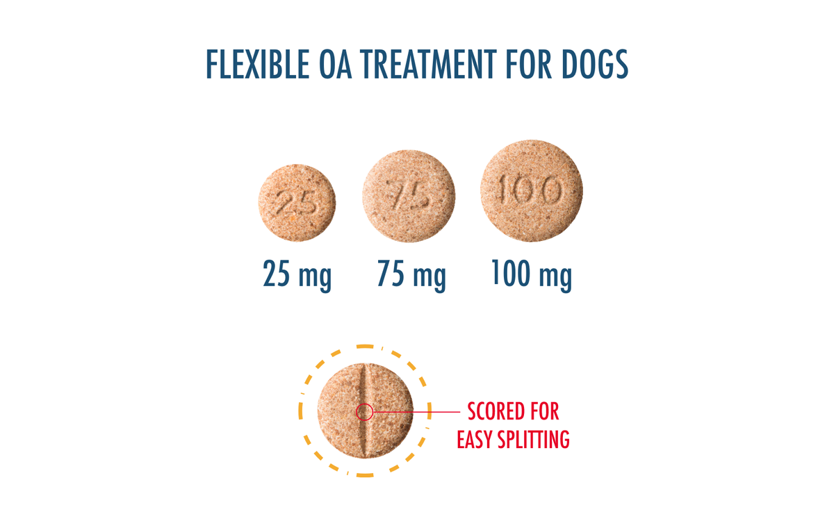 Carprieve® (carprofen) Chewable Tablets