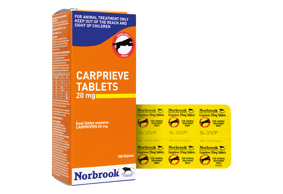 Carprieve 20Mg Tablets X 100 Blister Pack (Carton And Foil)