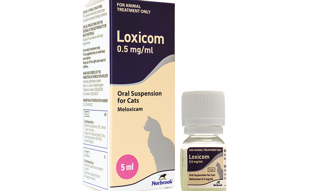 Loxicom Oral Suspension Cats