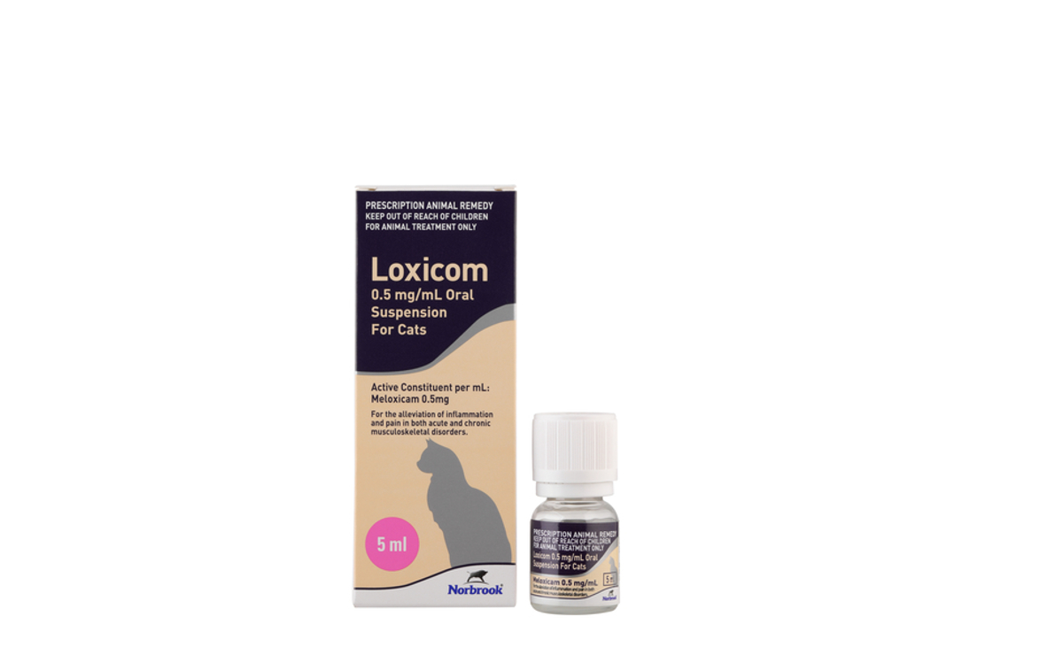 Loxicom 0.5mg/mL Oral Suspension for Cats | Norbrook