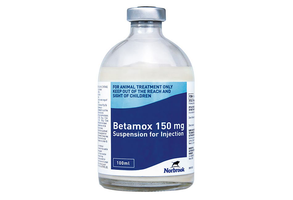 Betamox Injection