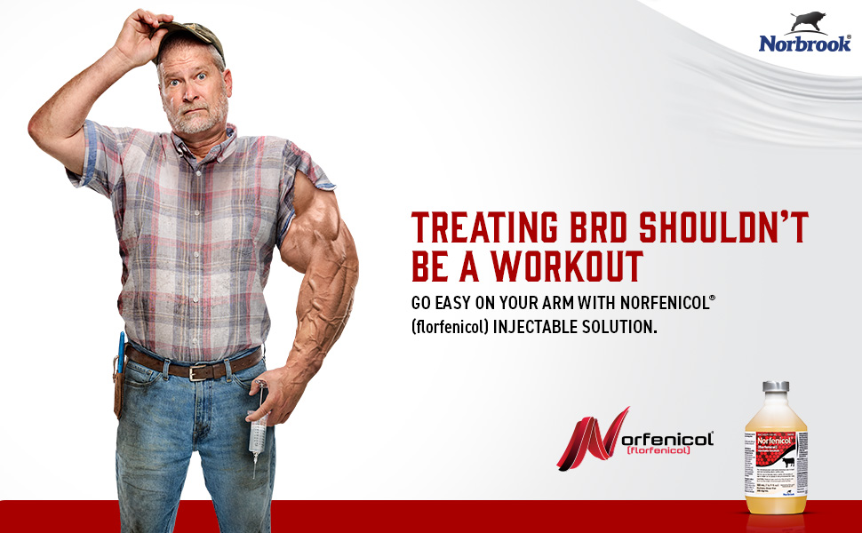 Norfenicol® (florfenicol) Injectable Solution