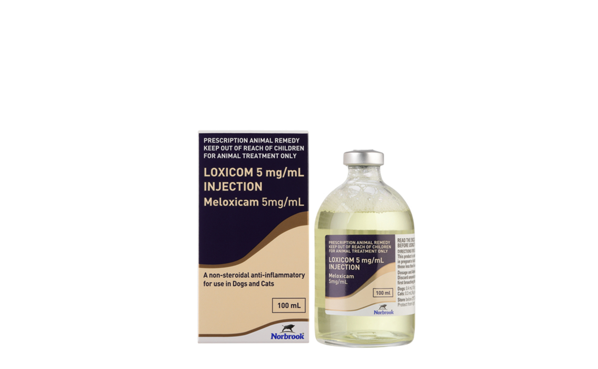 Loxicom 5mg/ml Injection | Norbrook