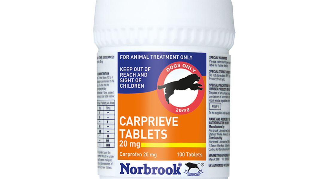 Carprieve 20Mg Tablets X 100 (Tub)