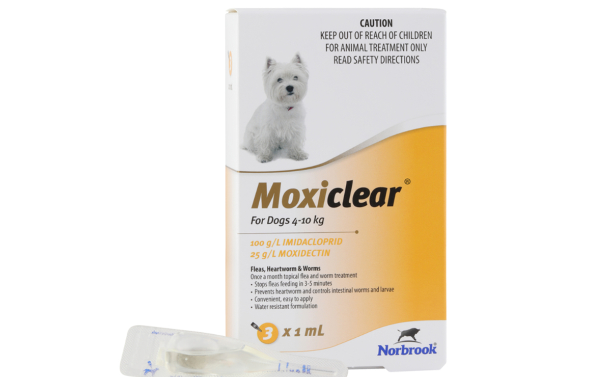 Moxiclear For Dogs Norbrook Laboratories moxiclear-for-dogs-norbrook-laboratories
