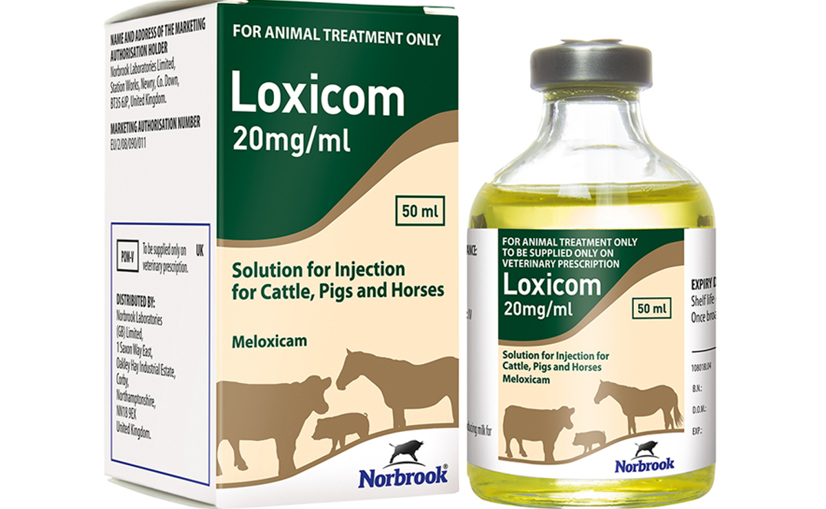 Loxicom LA Injection