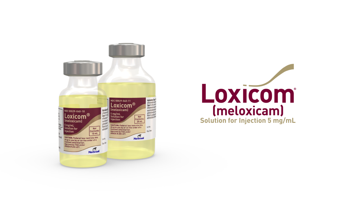 Loxicom® Solution for Injection | Norbrook Laboratories