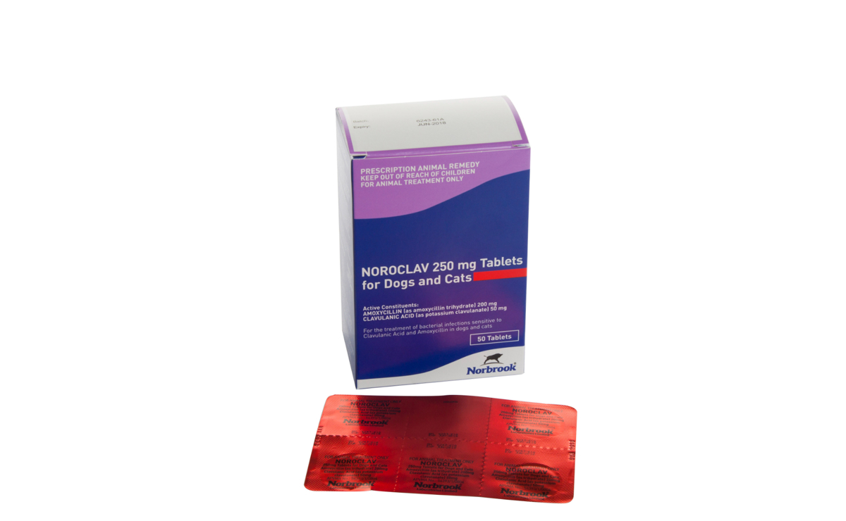 Noroclav Tablets 50mg and 250mg for Dogs and Cats